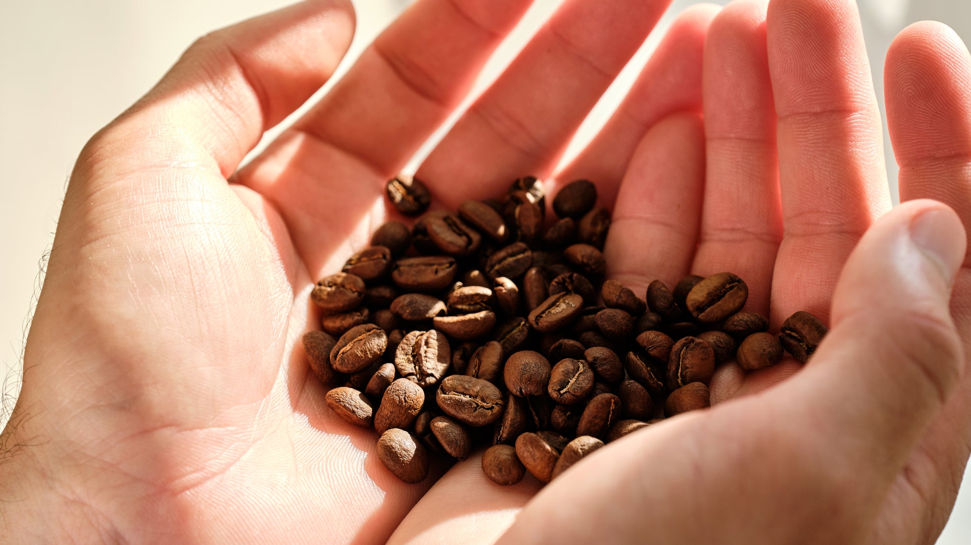 Café en forme de coeur dans des mains