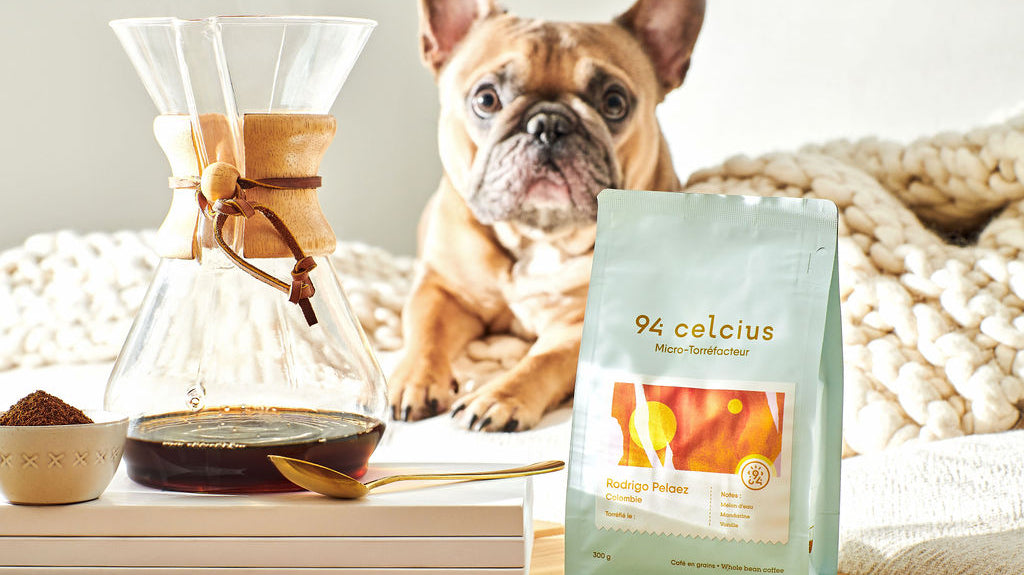 Chemex sur table en bois avec chien et sac de café