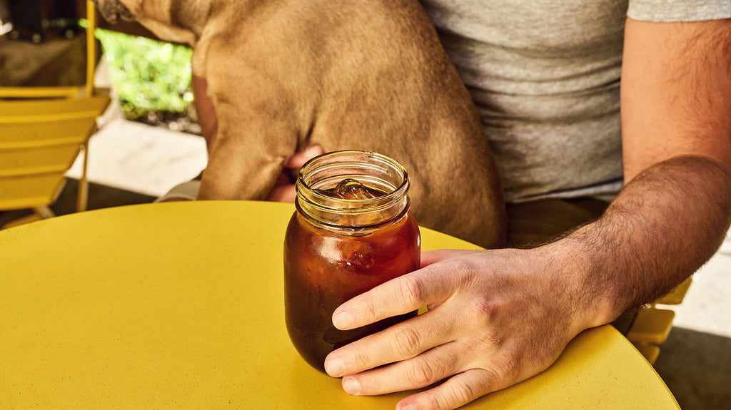 Homme en train de boire un café de spécialité assis sur une table jaune avec un chien