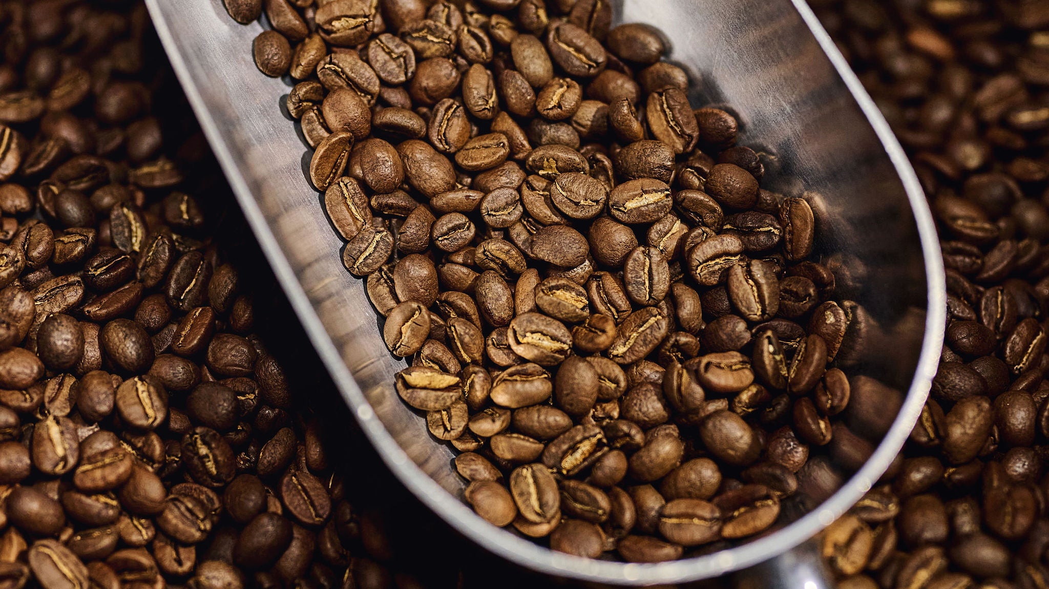 Pelle remplie de café de spécialité