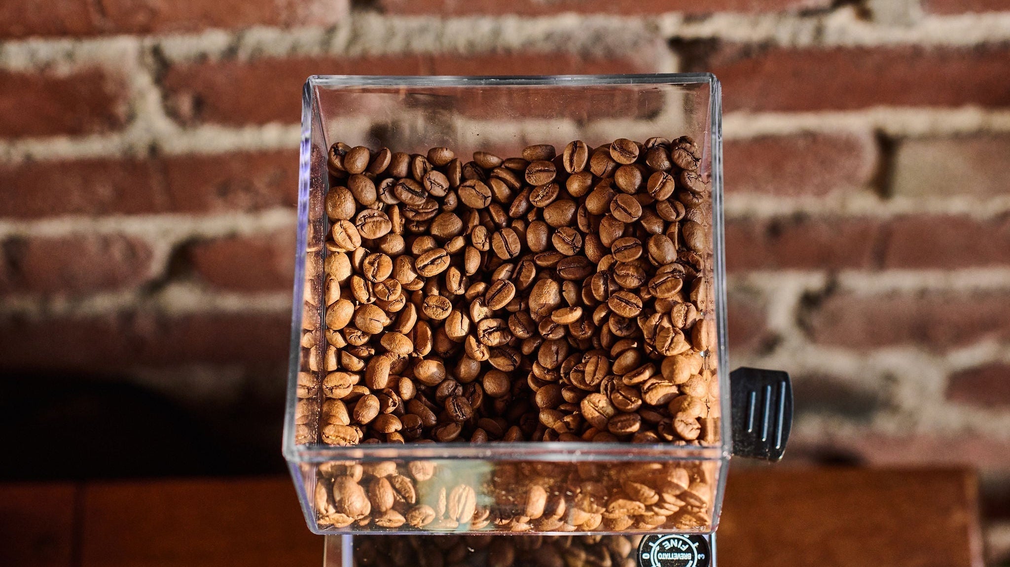 Notre guide sur l’art de bien choisir sa mouture de café