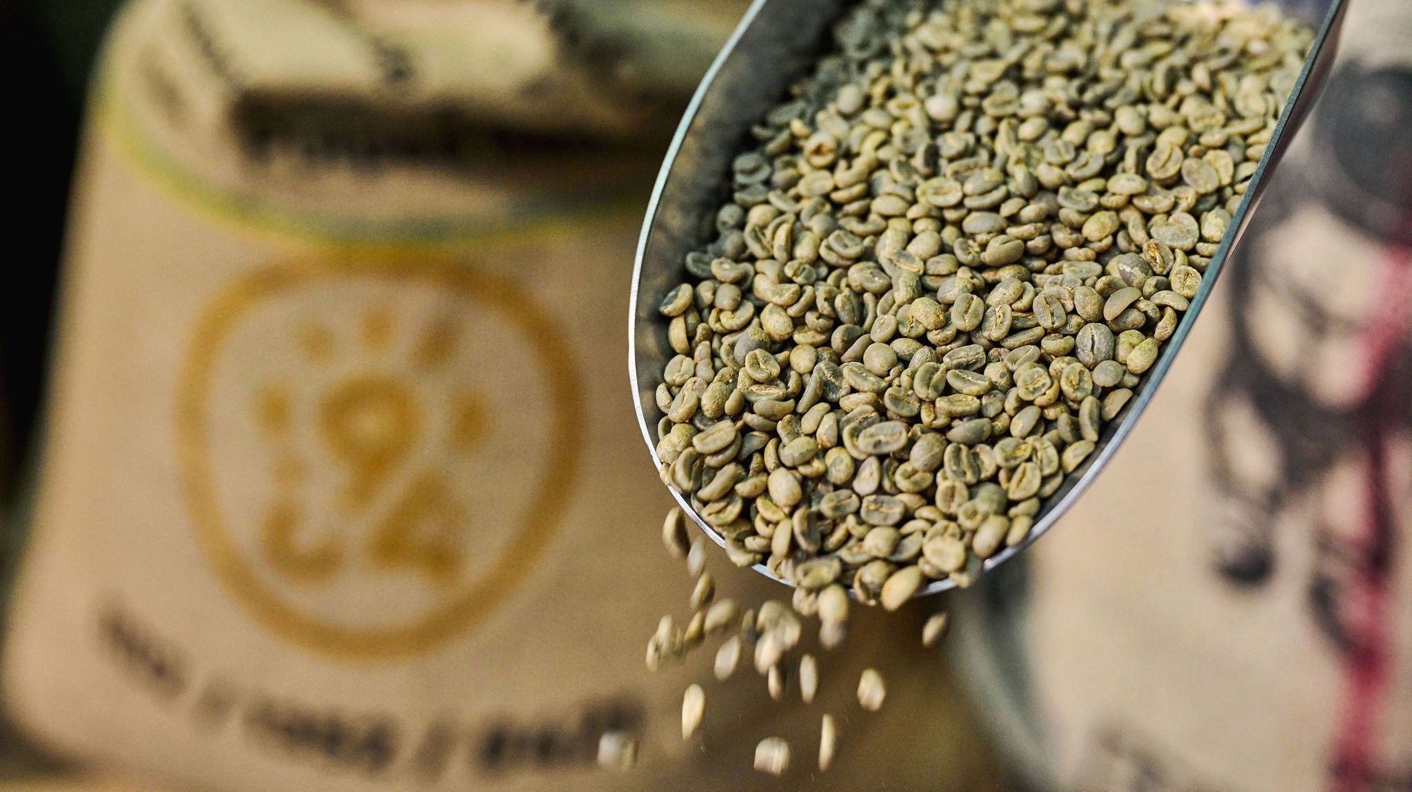 Café vert non torréfié avec un sac en jute du torréfacteur de café de spécialité 94 celcius en fond