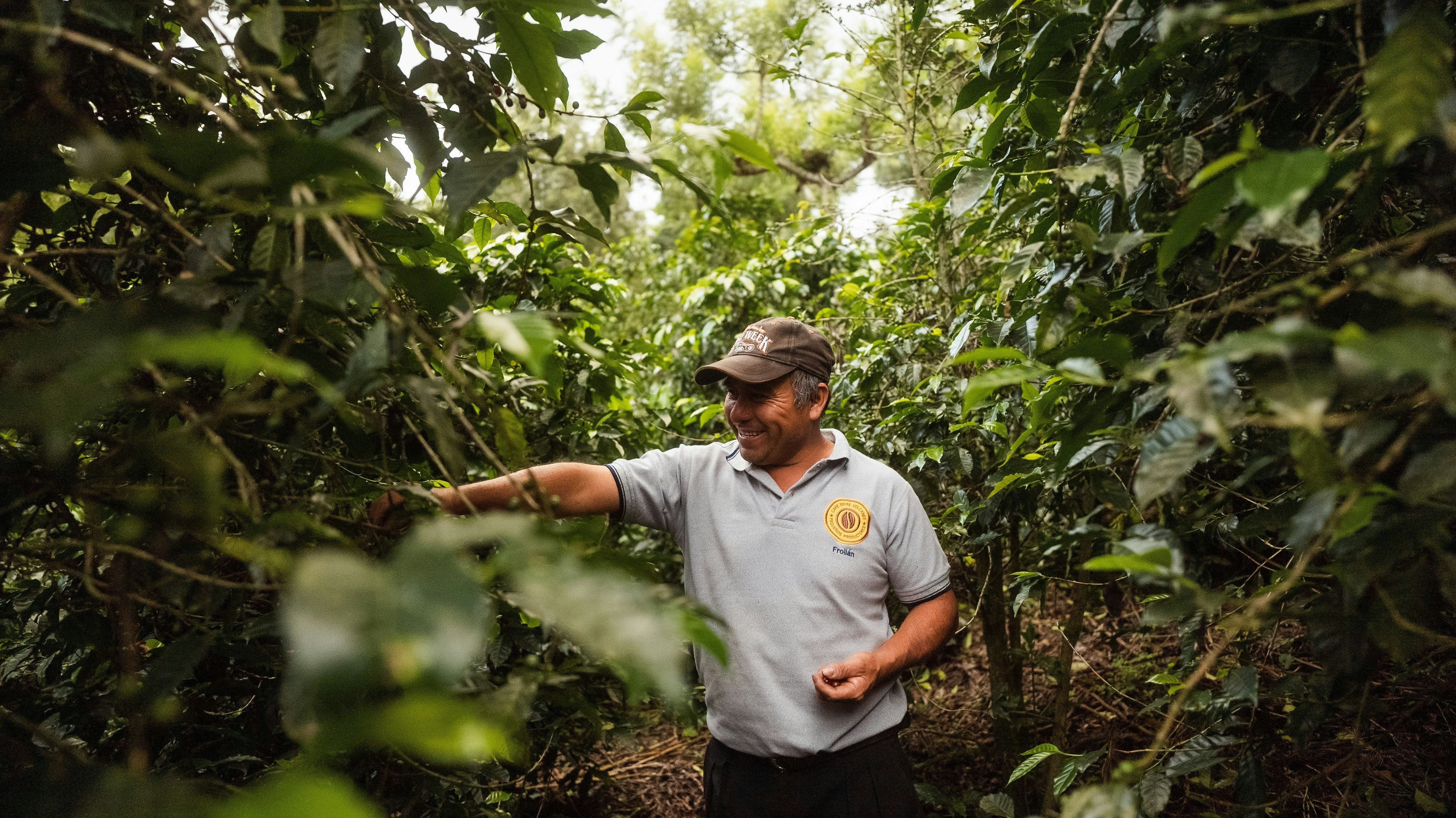 Producteur de café dans sa ferme