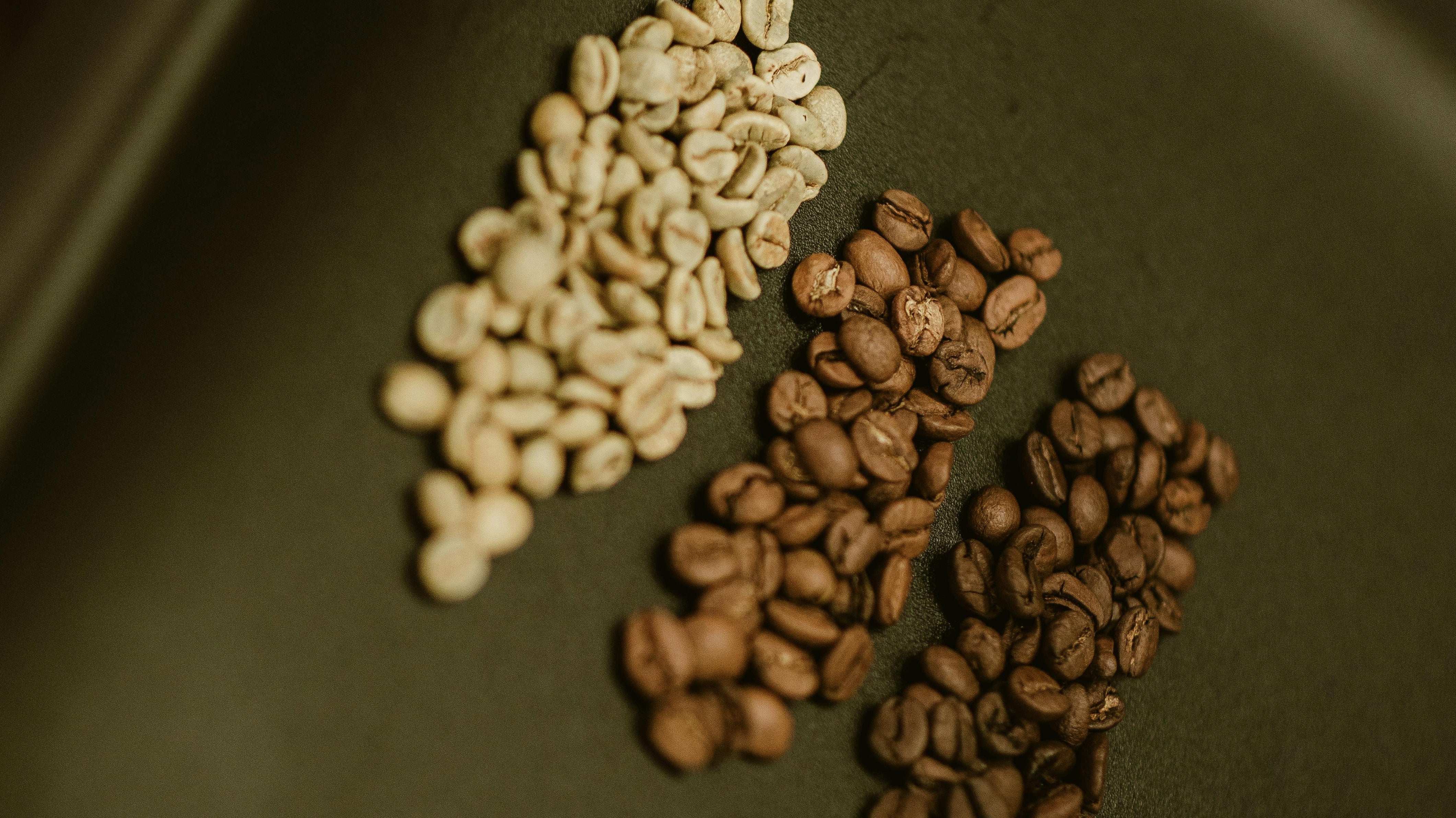Torréfacteur de café de spécialité de Montréal 94 celcius
