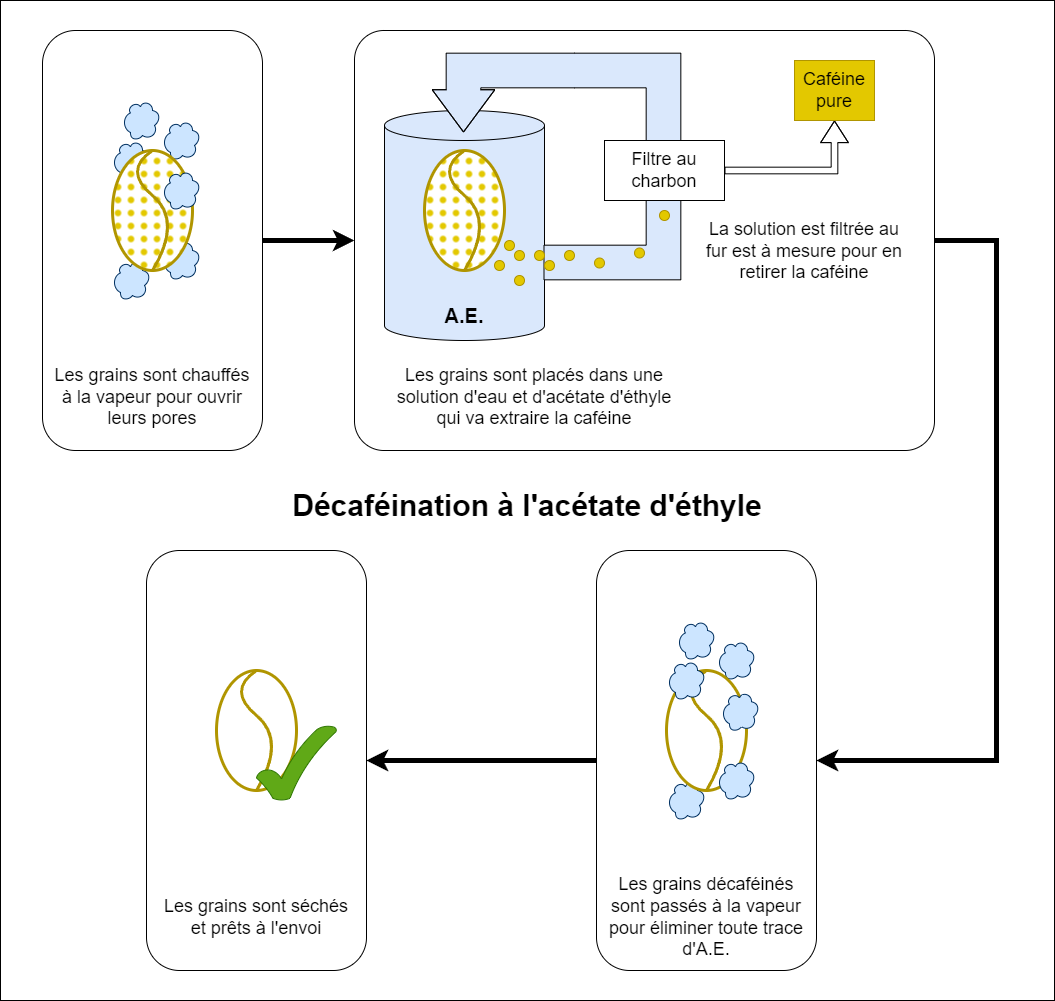 Infographie présentant le principe de décaféination à l'acétate d'éthyle et canne à sucre