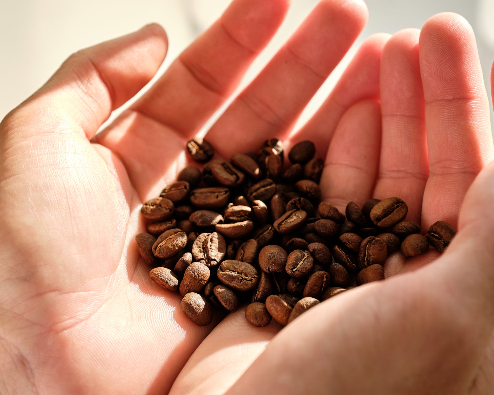 Café en grain sans huile par torréfacteur de café 94 celcius du canada