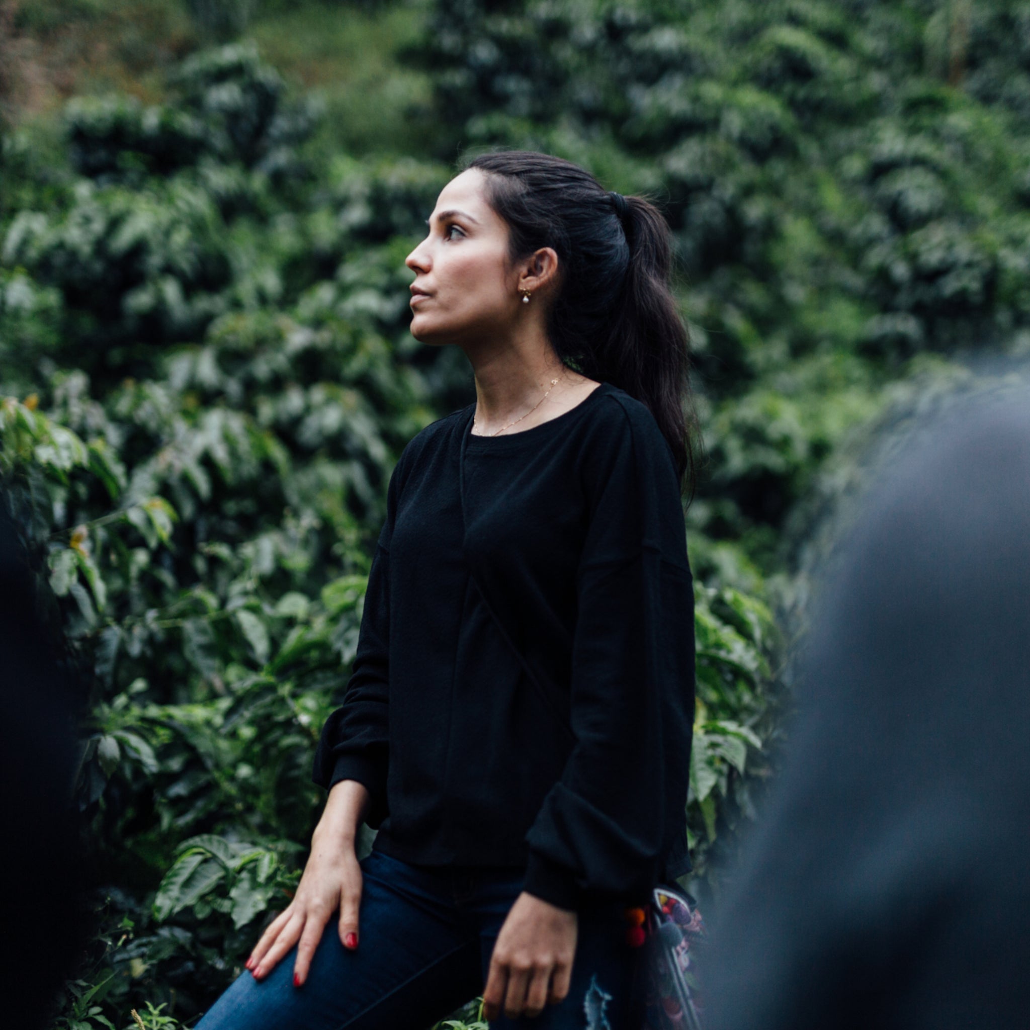 Carolina Ramirez - Unblended