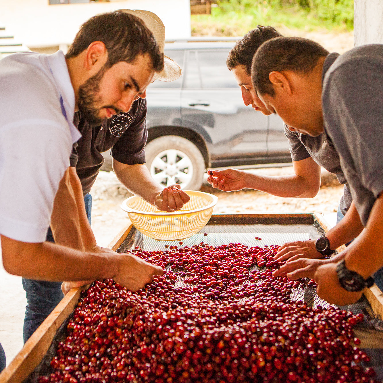 Elias et Shady Bayters - coffee cherry cerise de café - for the best decaf