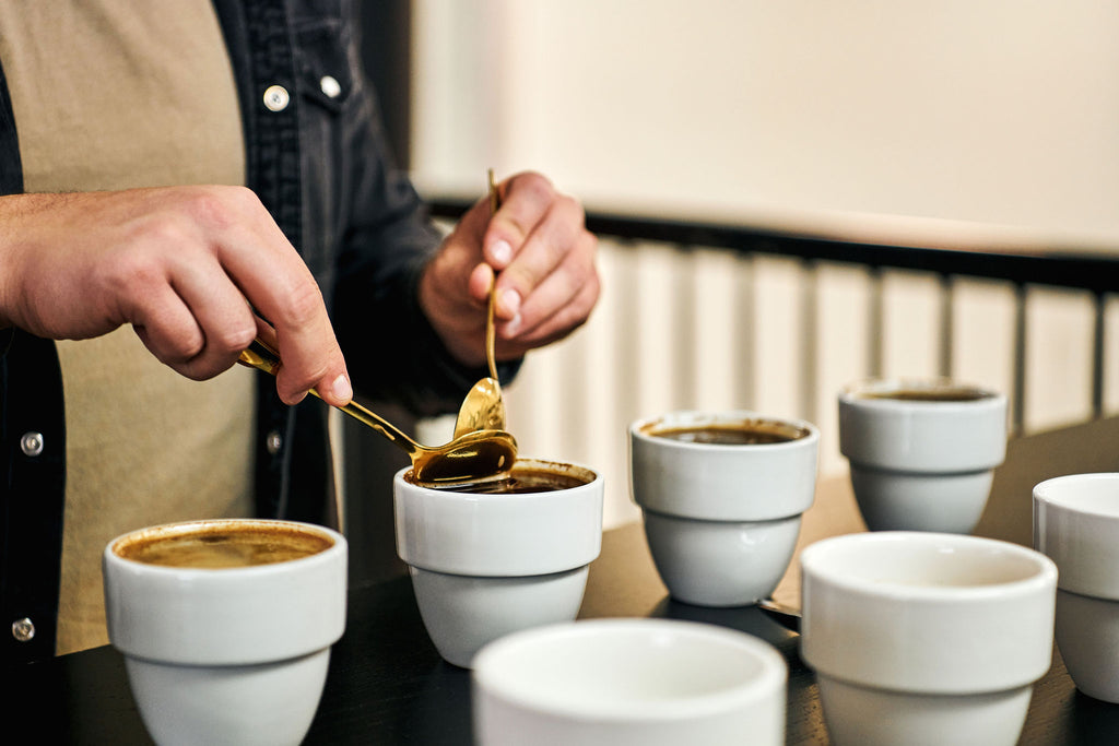 Préparation d'une dégustation de café (Cupping)