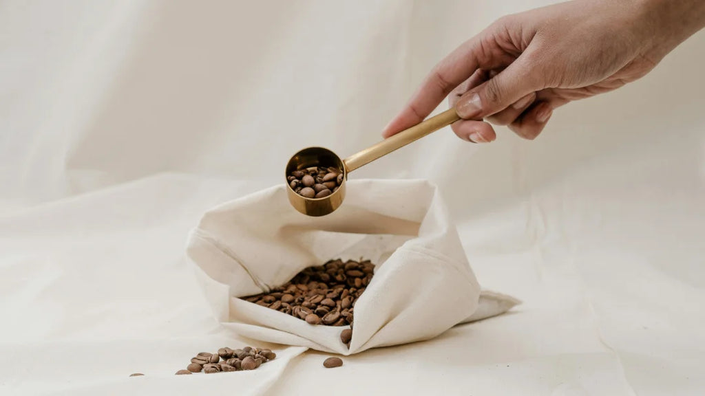 Une main prend des grains de café torréfié d'un sac, illustrant la richesse et la texture du café.