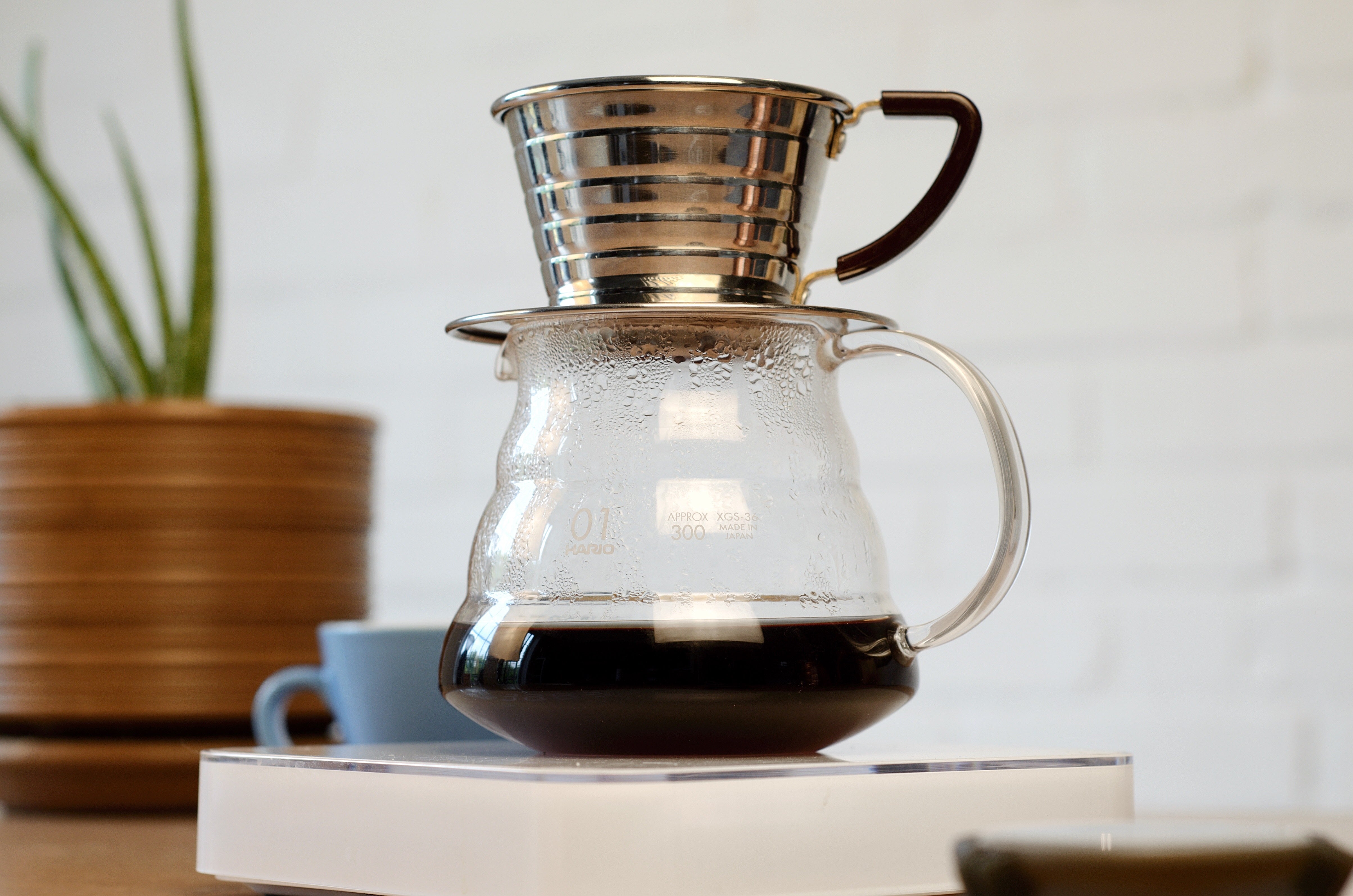 Café de spécialité préparé en filtre 