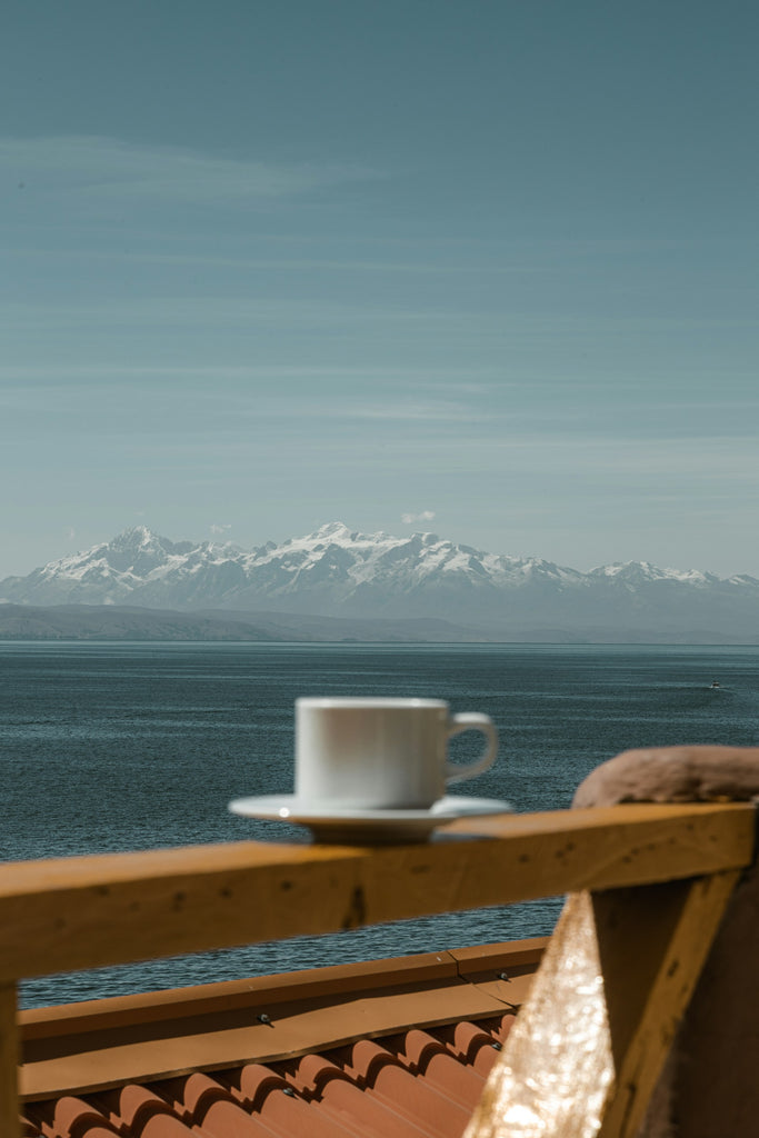 Tasse de café devant une montagne de la Bolivie