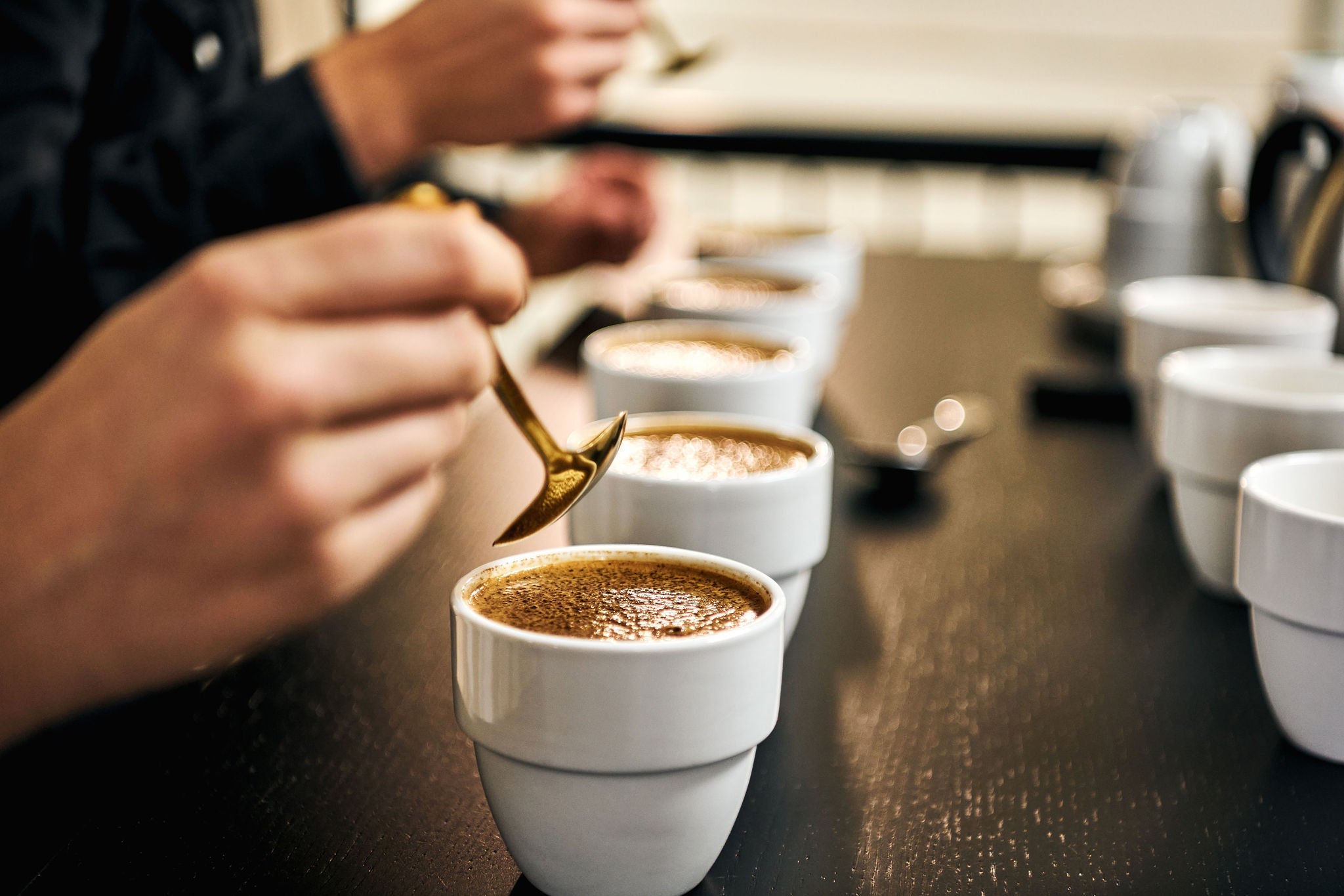 Dégustation de café à l'atelier du torréfacteur de Montréal 94 celcius