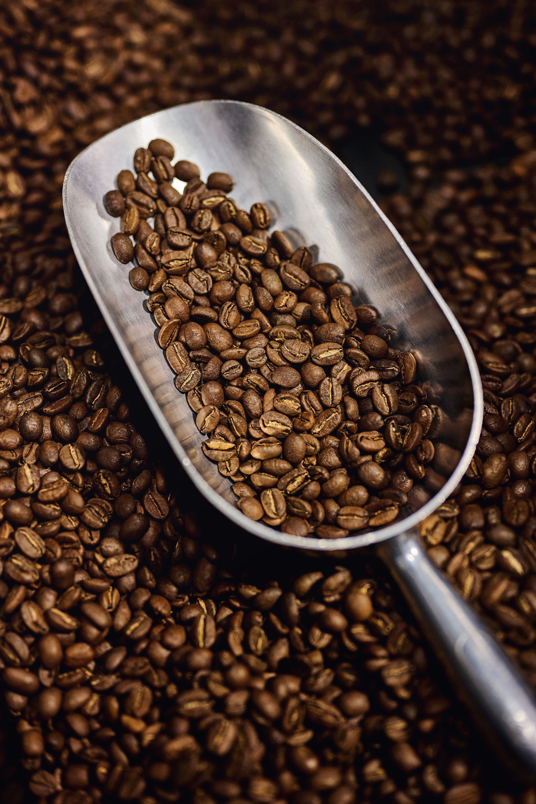 Découvrez nos mélanges de café de spécialité