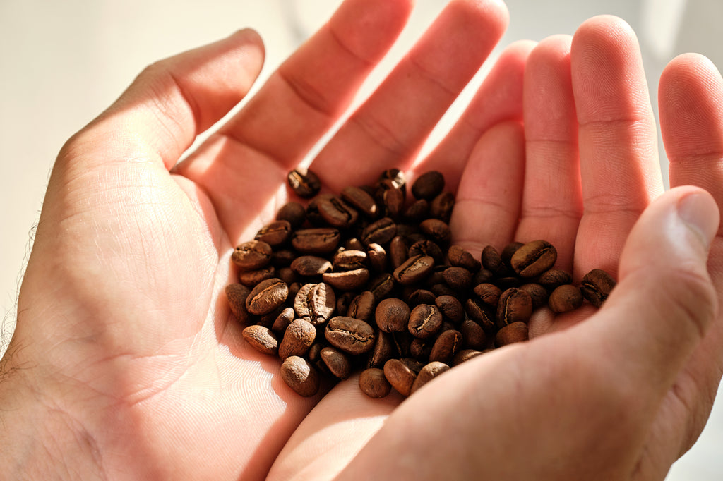 Café en grain sans huile par torréfacteur de café 94 celcius du canada