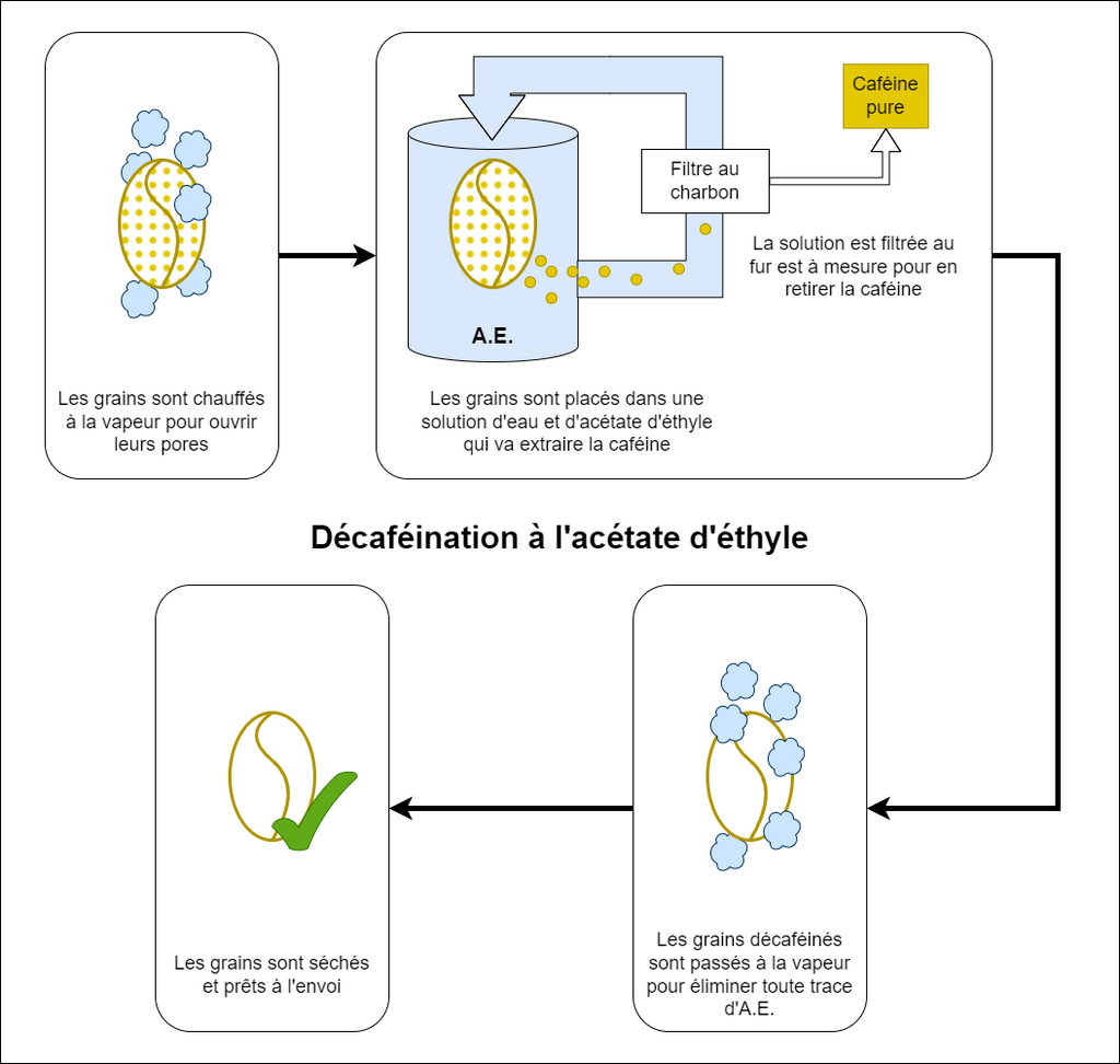 Infographie présentant le principe de décaféination à l'acétate d'éthyle et canne à sucre