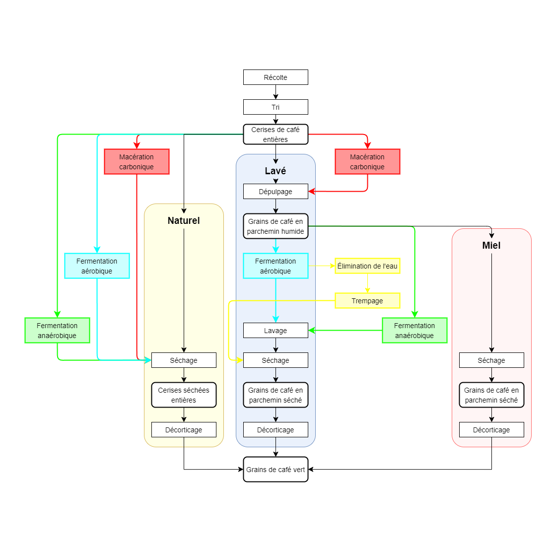 Diagrame présentant les différentes étapes de fermentation contrôlées possibles dans le processus de dépulpage du café.