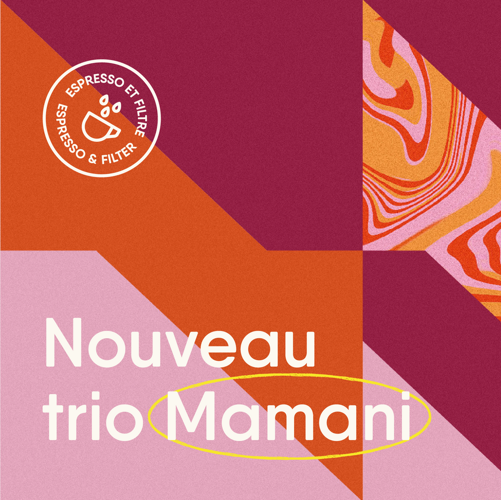 Mamani un trio de café de spécialité de la Bolivie