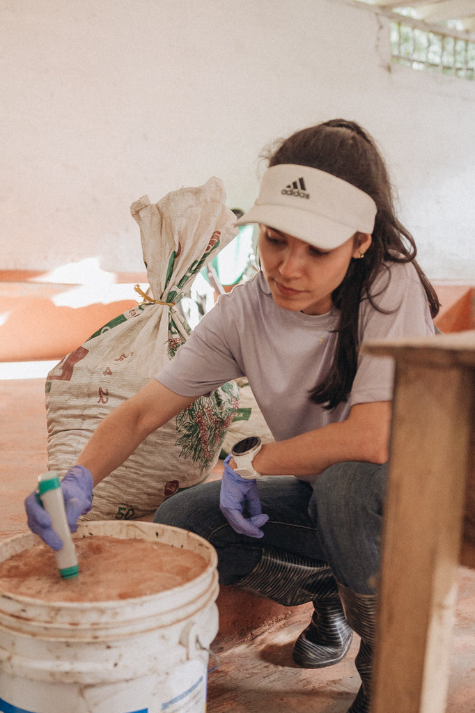 Une jeune femme prend la température d'un bac de fermentation aérobique contenant des grains de café