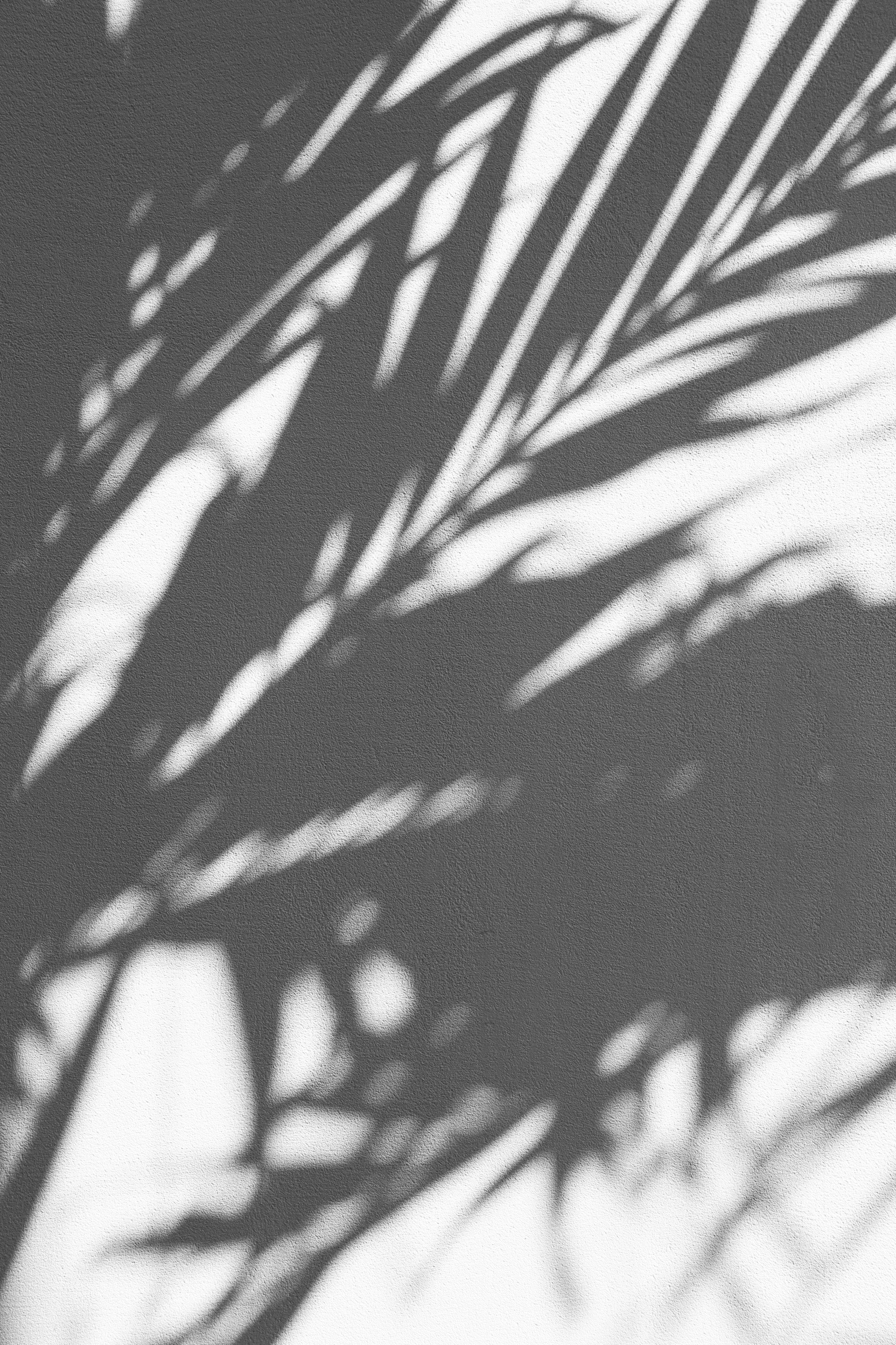 Ombre sur la plage