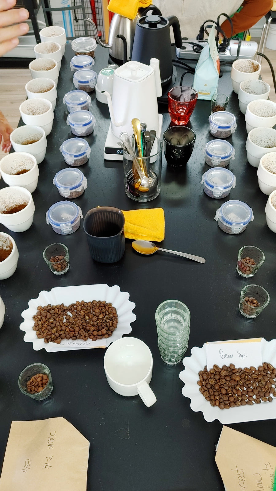 Table de cupping avec du café en grain