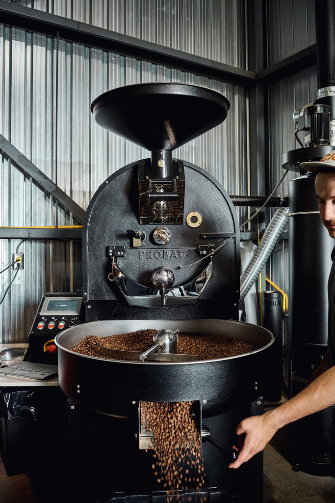 Café fraîchement torréfié sorti d'un torréfacteur