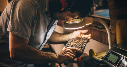 Un homme examine des grains de café avec une loupe